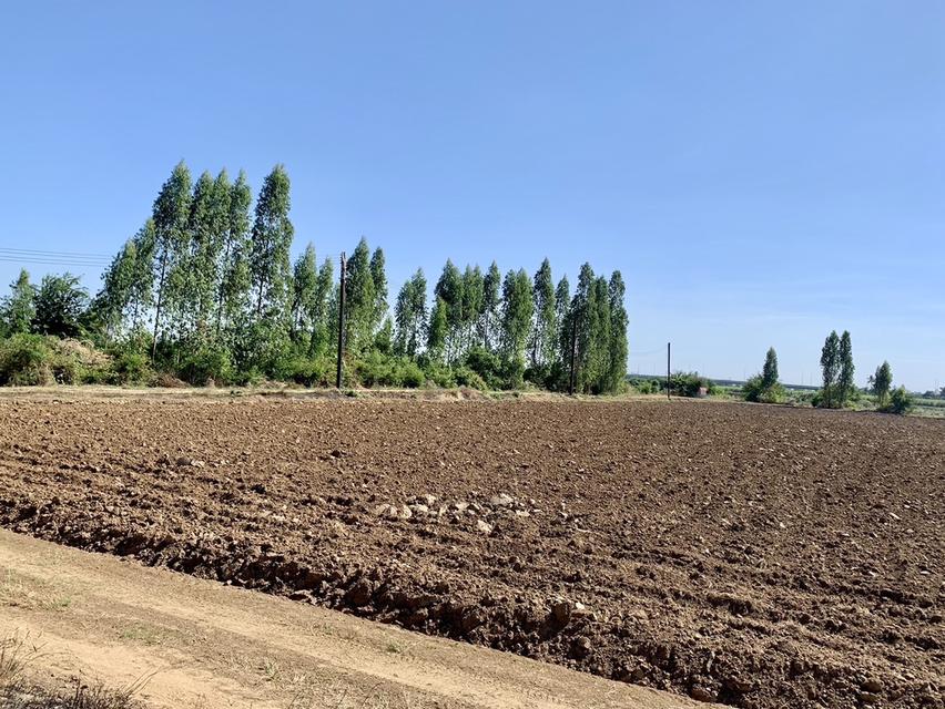 ขายที่ดินสวย2แปลง เนื้อที่รวม26ไร่เศษ สภาพแวดลัอมดี เหมาะลงทุน,ทำเกษตร,จัดสรรหรืออื่นๆ คมนาคมสะดวก 15