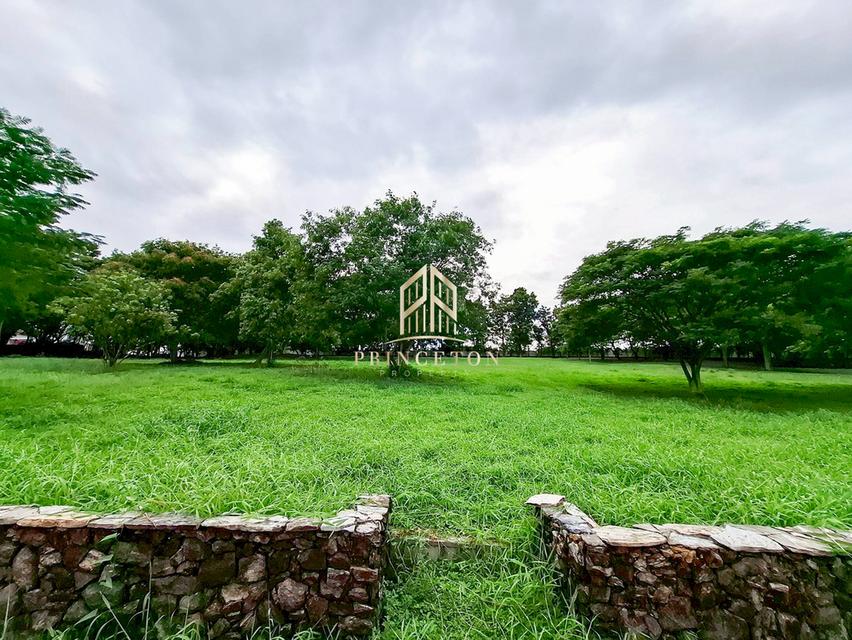 Lakefront Land – Prime Nature Villa ที่ดินริมทะเลสาบ – ไพร์ม เนเจอร์ วิลล่า 15