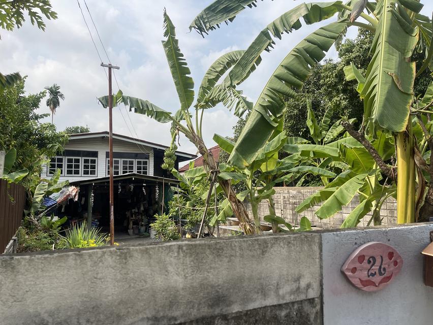 บ้านพร้อมที่ดิน 100 ตรว. 5