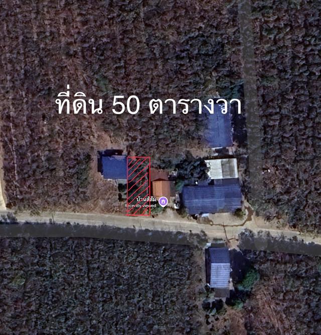 ขายที่ดิน ระยอง อำเภอแกลง วังจันทน์ ใกล้วัดเขาตลาดสิงหะเสนี เจ้าของขายเอง 4
