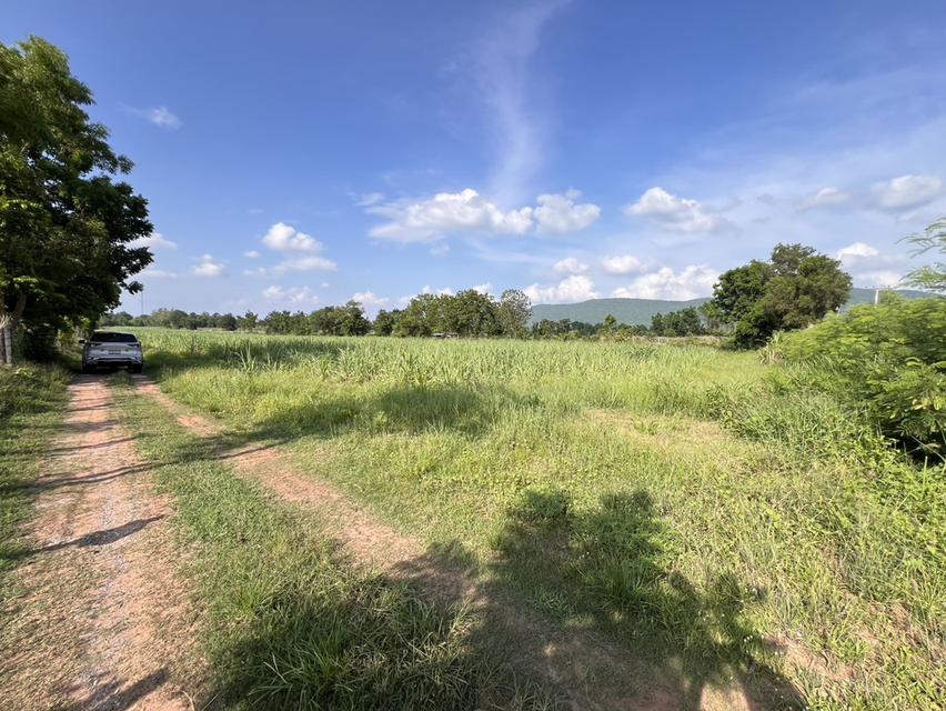 ที่ดินเปล่า ที่ดินจัดสรร 1