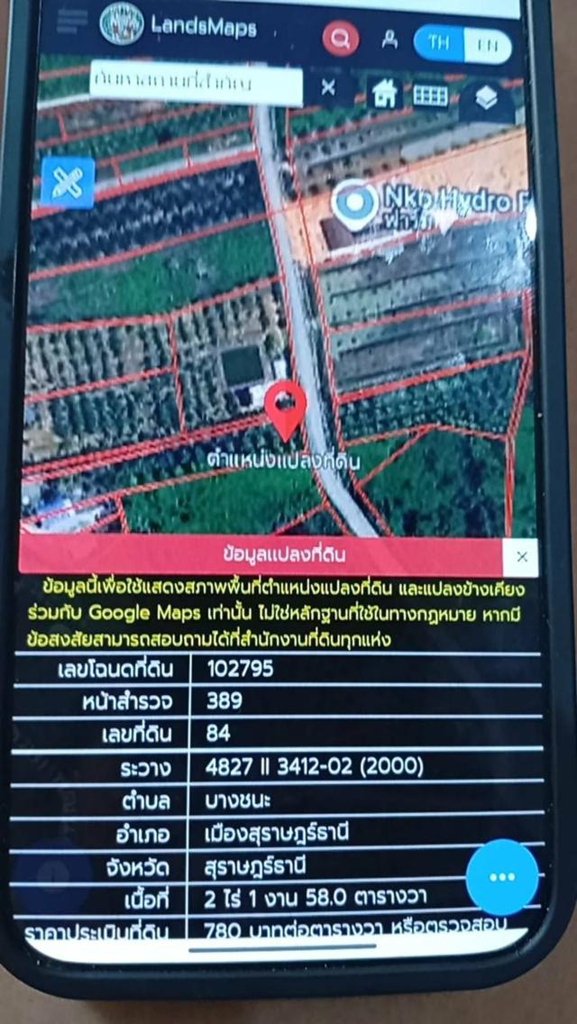 ที่ดิน 1ไร่ 1งาน 95000 บาท 6