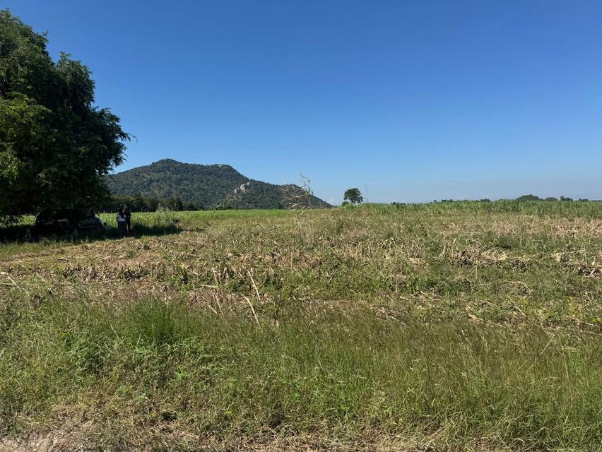 โฉนดครุฑแดง 11 ไร่ วิวเขากะลา ราคาไม่แรง ล้านสองเอาไปเลยยย 1