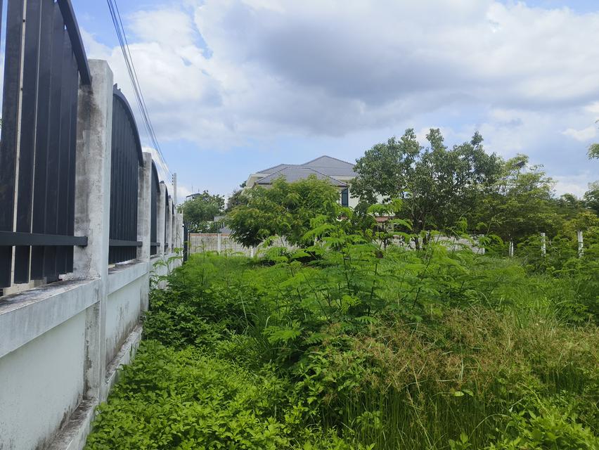 ขายที่ดิน เนื้อที่ 203 ตรว. อยู่ในตำบลสันกลาง อำเภอสันป่าตอง จังหวัดเชียงใหม่ 5