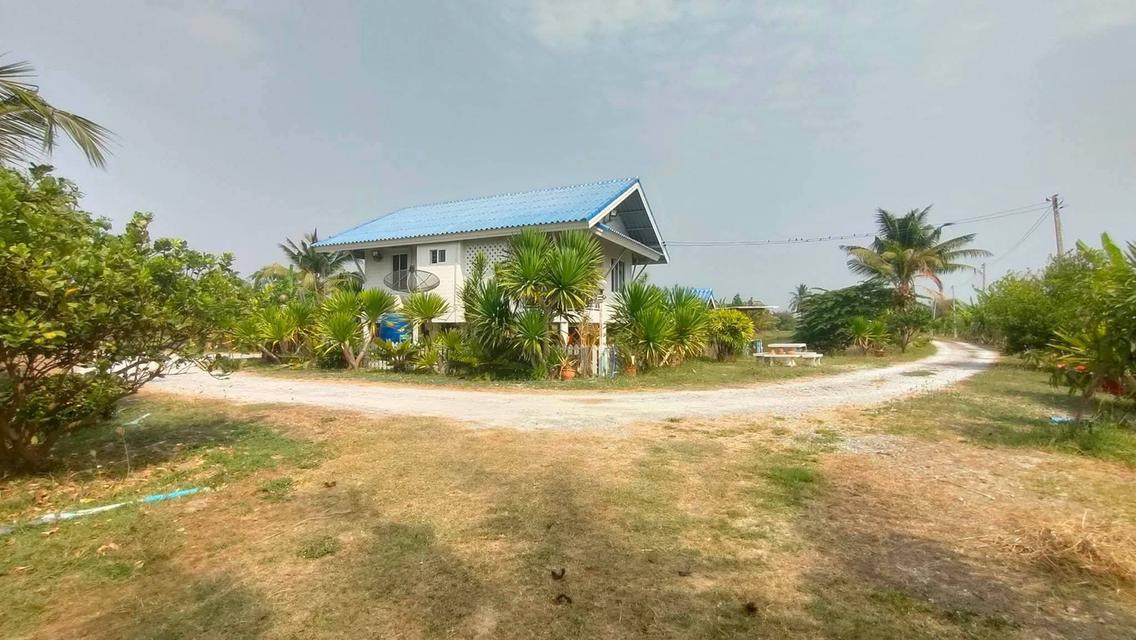 บ้านพร้อมที่ดินแปลงใหญ่ 3