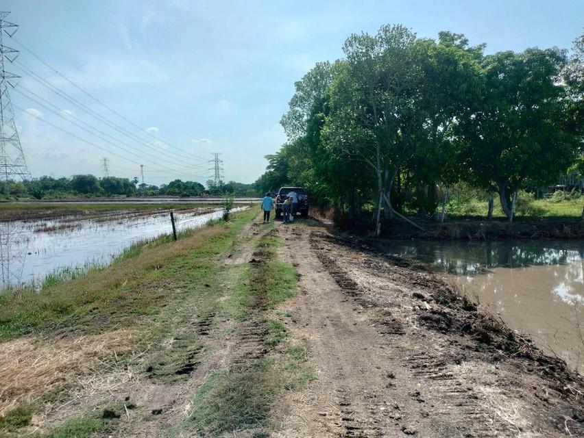 ขายด่วนที่ดิน 765 ตรว ติดถนนสาธารณะ เลียบคลองสิบสามฝั่งตะวันออก 38 หนองจอก กทม. 6