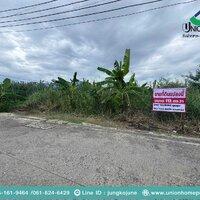 ขายที่ดินเปล่าถมแล้ว ถนนรังสิต-นครนายก33 คลอง2 ธัญบุรี (N1324) 1
