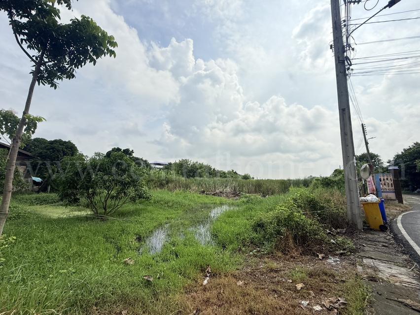 ที่ดินเปล่า 266 ตร.วา ท่าอิฐ 15 แยกตาลเดียว - วัดบางบัวทอง นนทบุรี 3
