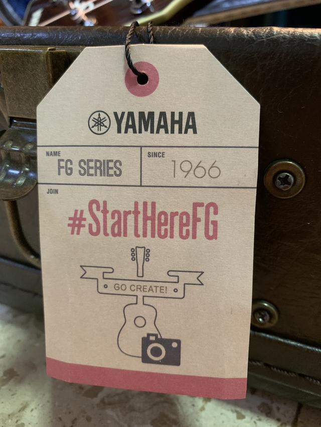 🎸 Yamaha FG840 10