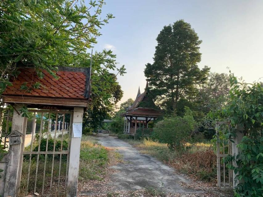 บ้านเดี่ยว บ้านสวนทรงไทย 2
