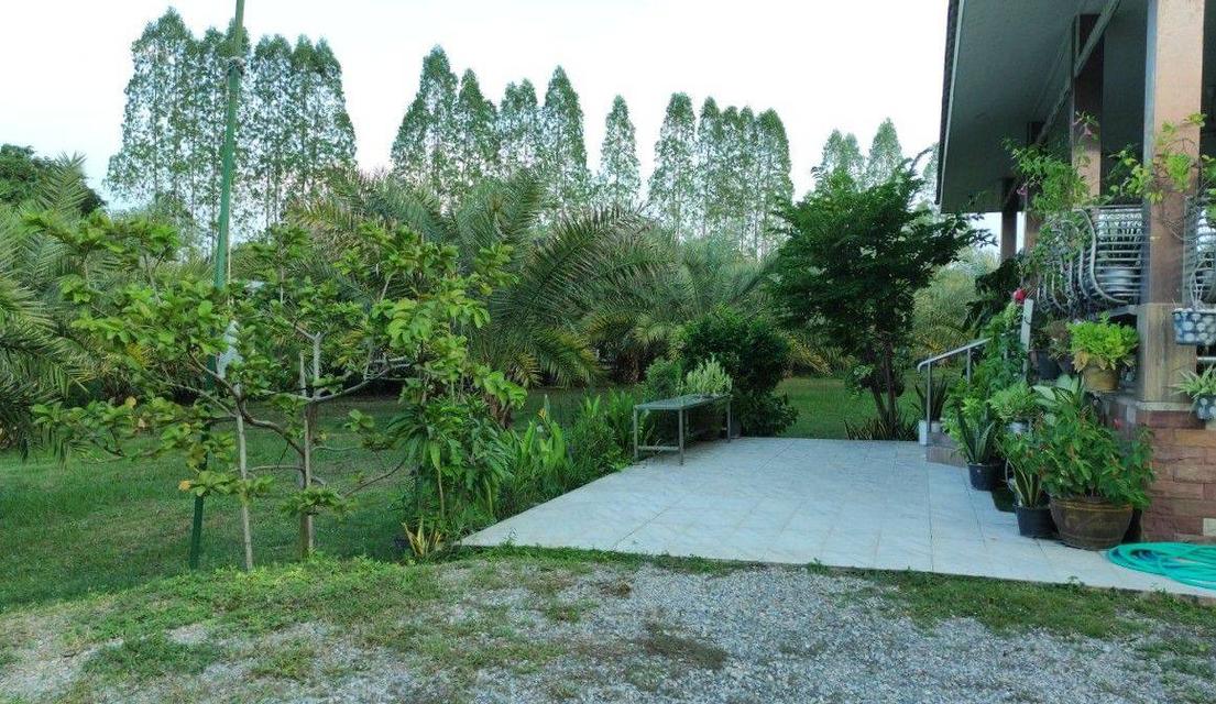 ขายที่ดิน อ.บ้านโป่ง  จ. ราชบุรี 6 ไร่ พร้อมบ้าน 3 หลัง  8