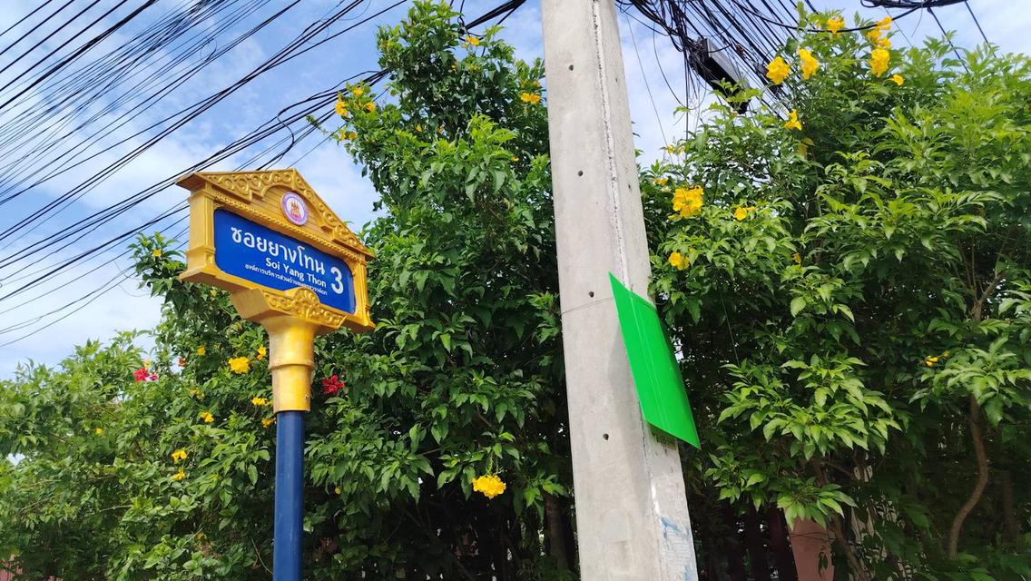 ขายที่ดิน โฉนดครุฑแดง ทำเลทองนครสวรรค์ 6