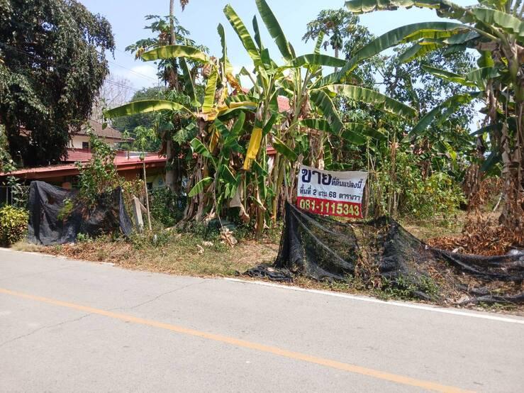 ขายที่ดิน เมืองเชียงใหม่ ตรว ล่ะ 15000 บาท สนใจติดต่อ 0811115343 6