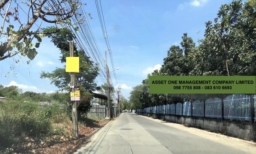 ขายที่ดิน 1 ไร่ ถนนติวานนท์ - ปากเกร็ด ซอย 56 ( ซอยพระแม่มหาการุณย์ 27 ) ปากเกร็ด นนทบุรี 098 7755 808 9