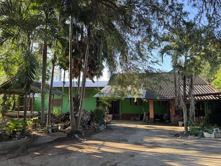 ขายบ้านพร้อมที่ดิน 1ไร่กว่าๆ อ.เมือง จ.เลย 8