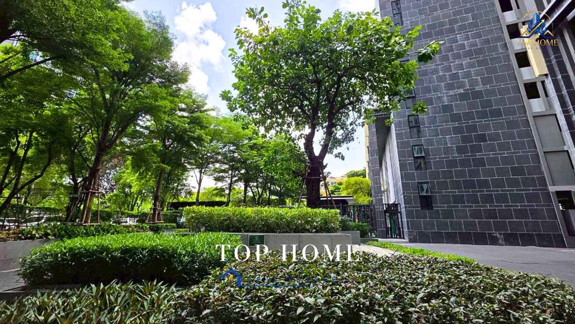 HOT DEAL! ขายด่วน คอนโด The Base Sukhumvit 77 พร้อมอยู่ ใกล้ BTS อ่อนนุช** 3