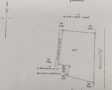 ขายที่ดินดอนตูม ติดทางหลวงเทศบาลสามง่าม 4 ไร่ 3 งาน อำเภอดอนตูม จังหวัดนครปฐม 3