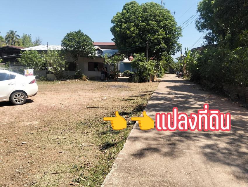ที่ดิน 1 ไร่ 28 ตร.วบ้านนาสมดีอำเภอเมืองนครพนม 1