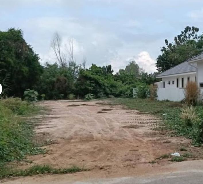 ขายที่ดินบ้านเพถมแล้วสวยๆเนื้อที่ 129 ตรว.ติดถนนเพรักษฯซ.6 ใกล้ท่าเรือเกาะเสม็ด-1.6กม. เมืองระยอง 2