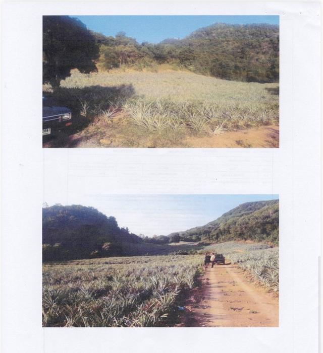 ที่ดิน ไร่ละ 90,000 มี90ไร่ นส.3ก 1