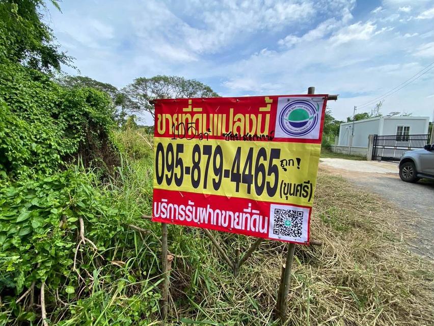ขายด่วนที่ดิน 105 ตรว ติดถนนสาธารณะ ซ.สมพงษ์ พุทธมณฑล นครปฐม 11