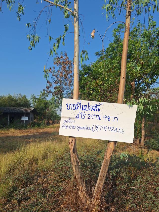 ขายที่ดินจังหวัด นครสวรรค์ ตำบลพนมรอก อำเภอท่าตะโก จำนวน 4 ไร่ 2 งาน 98 ตารางวา ติดถนน ขุดบ่อ มีบ้านพร้อมน้ำไฟ 2.5 ล้านบาท 1