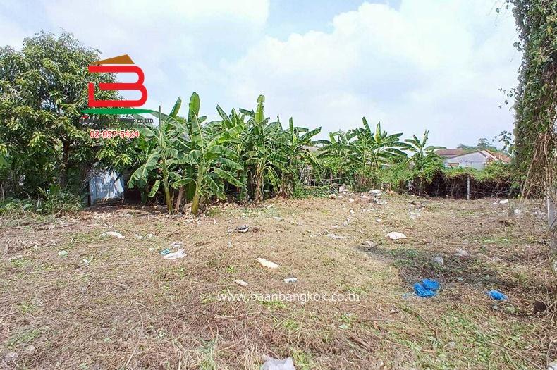 ขาย/เช่า ที่ดินถมแล้ว หมู่บ้านฉัตรหลวง เนื้อที่ 120 ตรว. ถนนกาญจนาภิเษก อ.ไทรน้อย จ.นนทบุรี 7