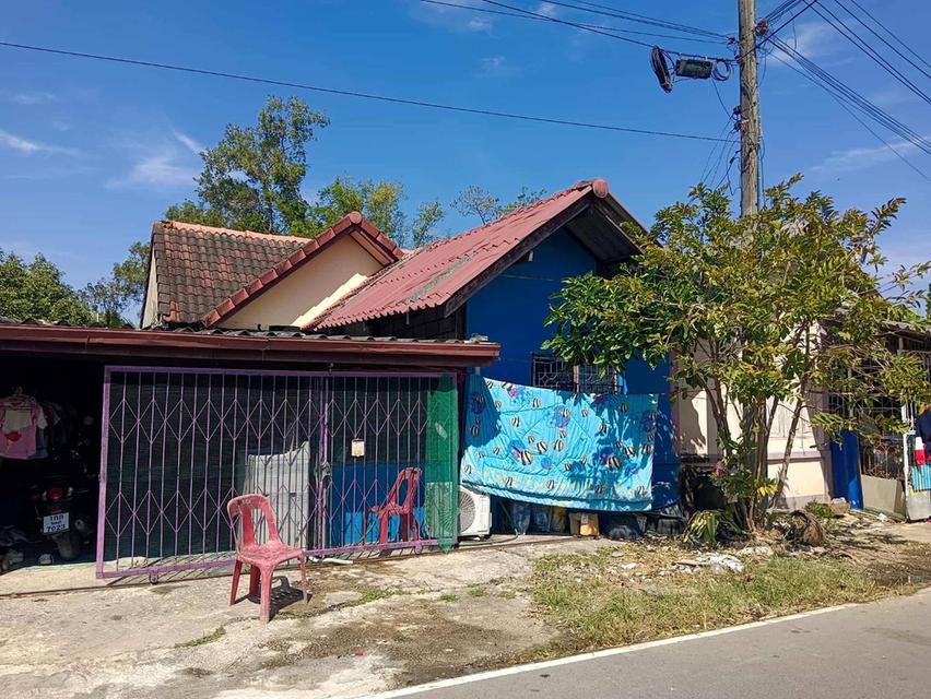 ทาวน์เฮ้าส์ชั้นเดียว 1