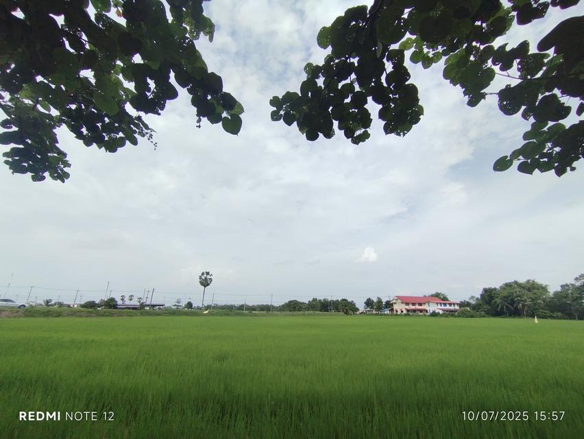 🌿ขายที่ดินริมน้ำบางปะกง9ไร่ ข้าง รพ.สต.บางแตน อ.บ้านสร้าง ฮวงจุ้ยดีเยี่ยม “ถุงทอง” ปากแคบ–ก้นกว้าง เก็บทรัพย์ 2