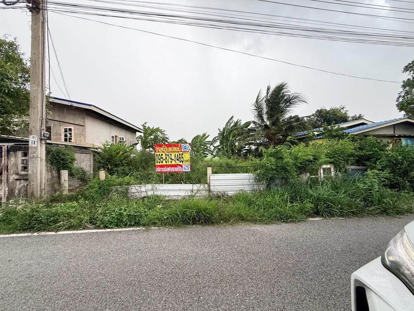 ขายด่วนที่ดิน 45 ตรว ติดถนนสาธารณะ ถมแล้ว ถ.เลียบคลองนายหลีก บางบัวทอง นนทบุรี 7