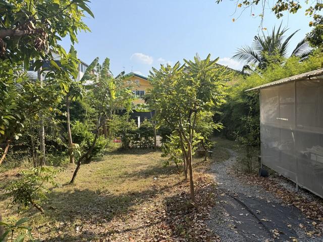 PP467 ขายที่ดินพร้อมสิ่งปลูกสร้าง ที่ดินขนาด 121 ตารางวา พร้อมบ้าน 1 หลัง ประชาชื่นนนทบุรี 4 งามวงศ์วาน ประชาชื่น ใกล้ The Mall งามวงศ์วาน 8