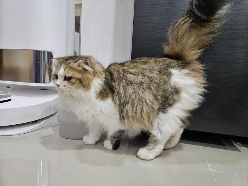 ปล่อยคุณแม่ หมันแล้ว อายุ 2 ปี 8
