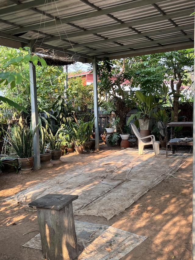 🔥 ที่ดินวิวพระอาทิตย์ตก ใจกลางอุดร 100 ตรว. ทำเลหายาก! ใกล้ UD TOWN 🌅 8