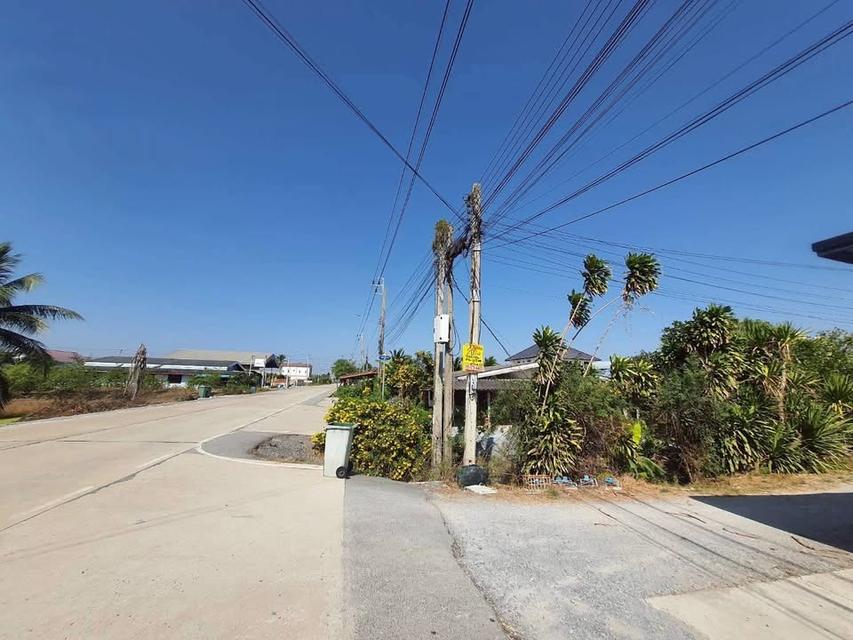 ขายถูก !! ที่ดินใกล้วัดราษฎร์นิยม 200 ตารางวาติดถนนสาธารณะ ถมแล้ว อ.ไทรน้อย จ.นนทบุรี 6