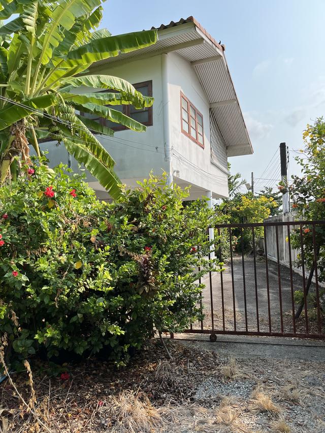บ้านริมน้ำ 243 ตรว. บางบ่อ ขายถูก 7