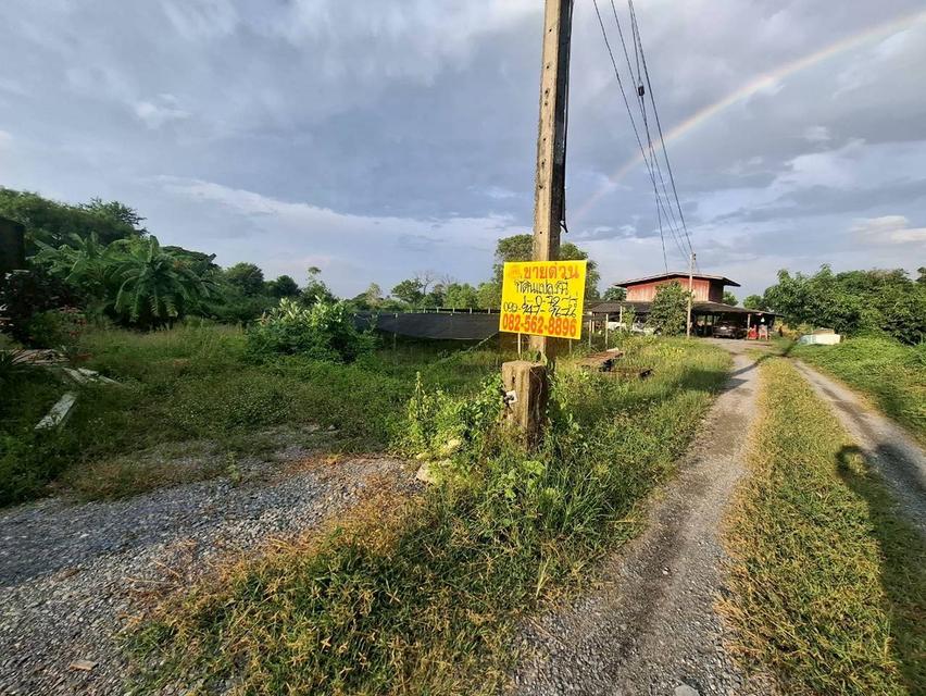 ขายที่ดินเปล่า ถนนบางม่วง-บางคูลัด บางใหญ่ นนทบุรี 3