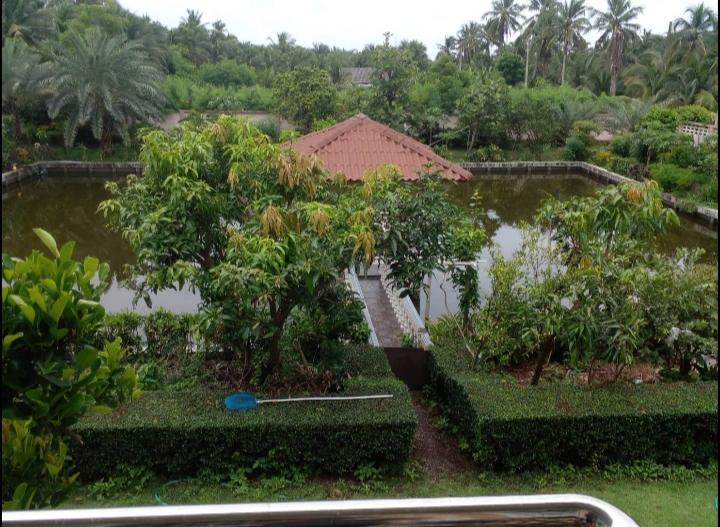 บ้านสวนสวยพร้อมอยู่บนเนื้อที่ 3 ไร่เศษบรรยากาศดีการเดินทางสะดวกใกล้จุดขึ้น-ลงทางด่วน M82 บ้านแพ้ว สมุทรสาคร ปลูกผลไม้เ็มพื้นที่เก็บกินได้ตลอดปี 10 ล. รูปที่ 11