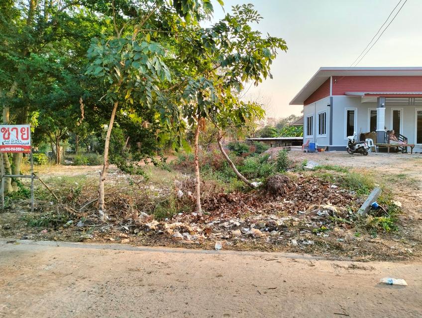 ขายที่ดินเปล่า127ตรว.หลังวิทยาลัยอาชีวไทยเทคเอเชีย ห่างถนนหลวง สมเด็จ-มุกดาหาร 200เมตร  6