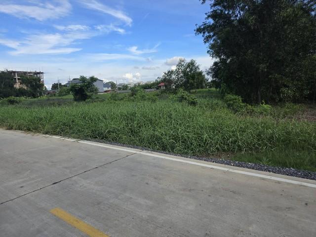 ขายที่ดิน คลองหลวง ปทุมธานี ทำเลดี ใกล้อบต.คลองสาม และใกล้วัดธรรมกาย 7