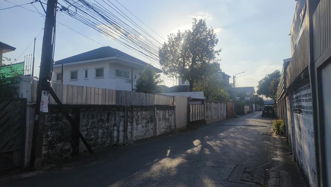 ขายด่วนที่ดินแนวรถไฟฟ้าและทางด่วน ใจกลางเมืองซอยลาดพร้าว 87 6