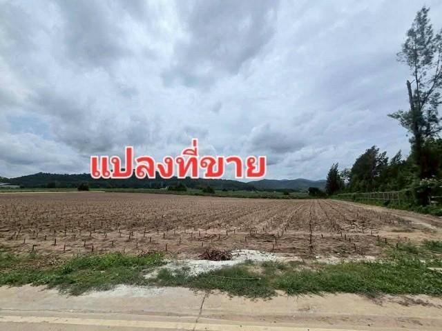 ขายที่ดินผังม่วงลายศรีราชา ชลบุรี เขาคันทรง ขนาดที่ดิน 20 ไร่ พื้นที่สีม่วงลาย ที่ดินเหมาะทำอุตสาหกรรมชลบุรี 5