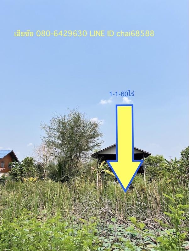 ขายที่ดินติดถนนเลียบคลอง เนื้อที่ 1-1-60ไร่ ใกล้ห้างไทวัสดุ ห้างโฮมโปรบายพาส ใกล้ถนนบายพาส ทล.204 เหมาะพัฒนาเป็นบ้านสวน รีสอร์ท 2