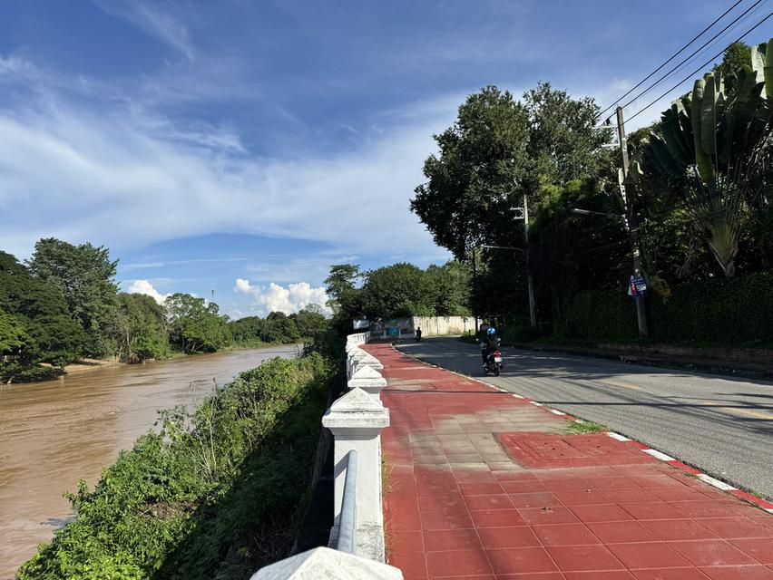 ที่ดินติดแม่น้ำปิง อ.เมืองเชียงใหม่ 4