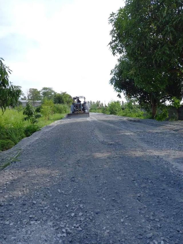 ที่ดินหนองจอก-บางน้ำเปรี้ยว 3