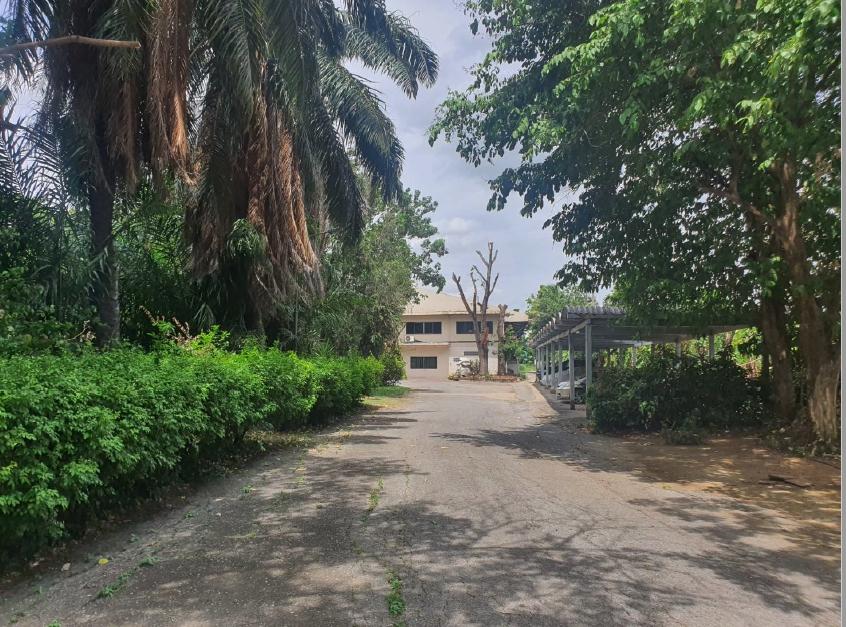 ที่ดินโรงงานและบ้านผู้บริหารหรู โรงงานพร้อมใบอนุญาต บ้านพักคนงาน โรงอาหาร ที่จอดรถ ป้อมยาม เนื้อที่ 9 ไร่  นครหลวง อยุธยา 35 ล้าน จาก 45 ล้าน 17