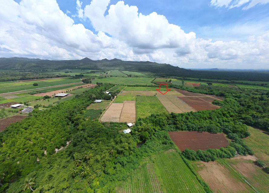 ขายที่ดิน 42 ไร่ วังดง เมืองกาญจนบุรี ติดน้ำ วิวเขา ล้อมรอบด้วยธรรมชาติ 6