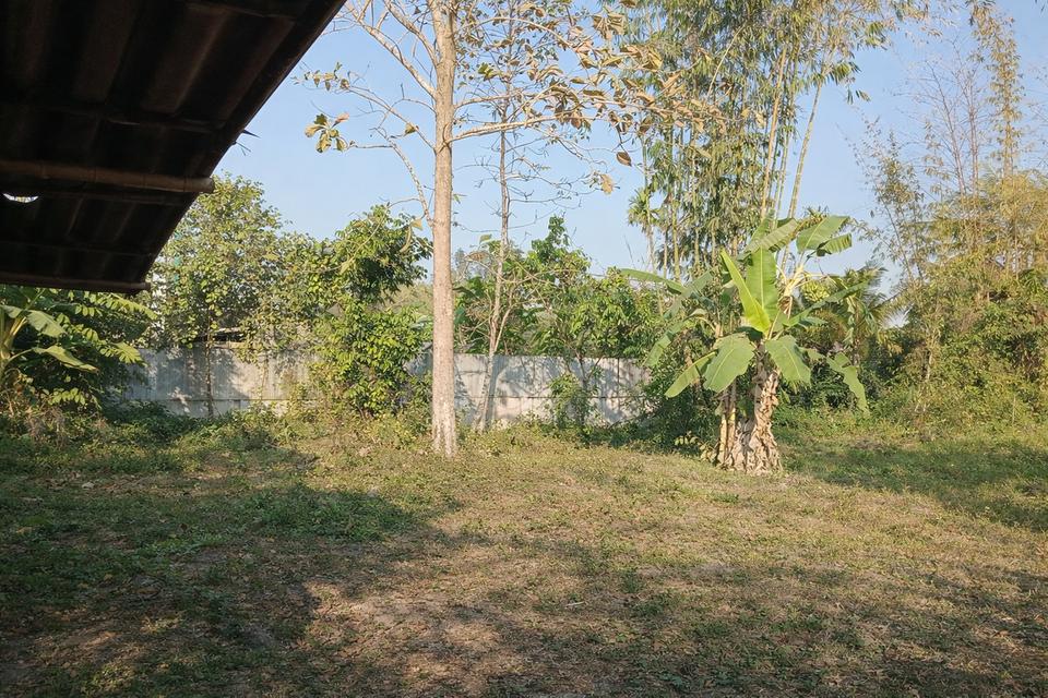 บ้านเดี่ยวชานเมืองพะเยา 15