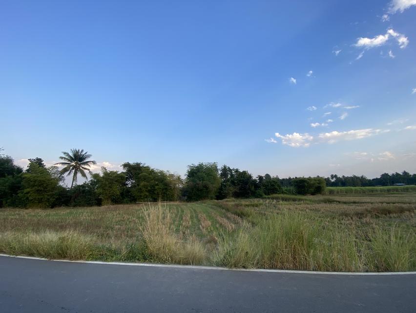 ขายที่ดินทางไปอ.ภูผาม่าน จ.ขอนแก่น 2