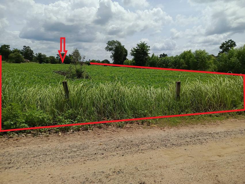 ขายที่ดิน 7 ไร่ ติดถนน 2 ด้าน ใกล้ ม.อุบล