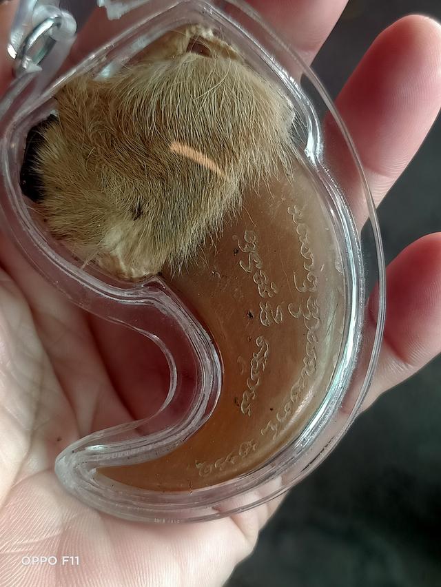 เครื่องรางของขลังวัตถุมงคล